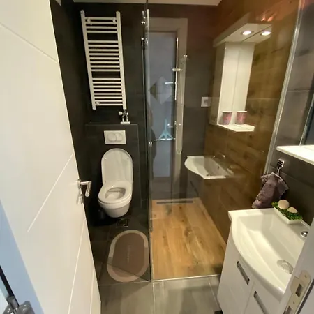 Brand New Bright Flat *